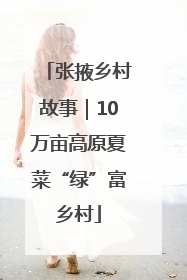 张掖乡村故事｜10万亩高原夏菜“绿”富乡村