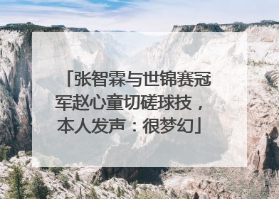 张智霖与世锦赛冠军赵心童切磋球技，本人发声：很梦幻