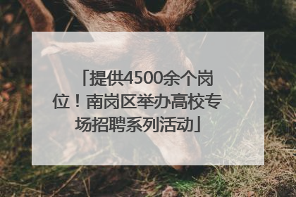 提供4500余个岗位！南岗区举办高校专场招聘系列活动