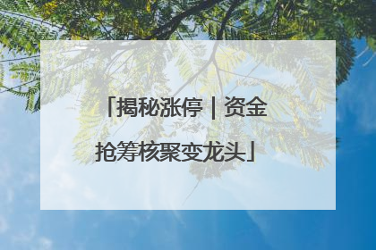 揭秘涨停｜资金抢筹核聚变龙头