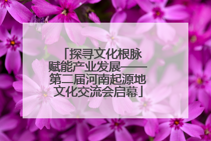 探寻文化根脉 赋能产业发展——第二届河南起源地文化交流会启幕