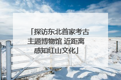 探访东北首家考古主题博物馆 近距离感知红山文化