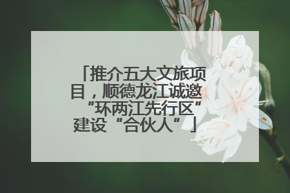 推介五大文旅项目，顺德龙江诚邀“环两江先行区”建设“合伙人”