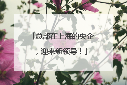 总部在上海的央企，迎来新领导！