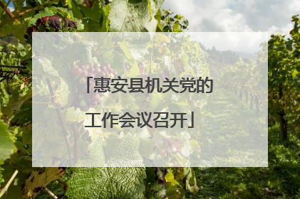 惠安县机关党的工作会议召开