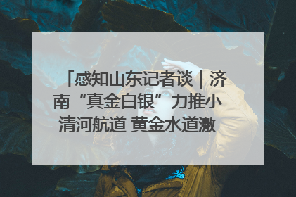 感知山东记者谈｜济南“真金白银”力推小清河航道 黄金水道激活区域经济新动能