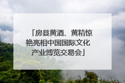 房县黄酒、黄精惊艳亮相中国国际文化产业博览交易会
