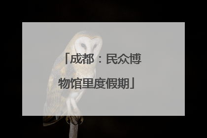 成都：民众博物馆里度假期