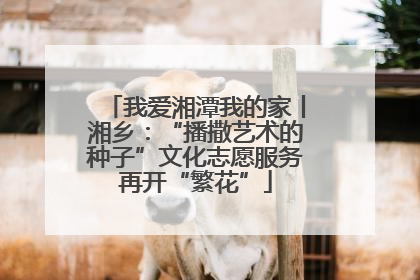 我爱湘潭我的家丨湘乡：“播撒艺术的种子”文化志愿服务再开“繁花”