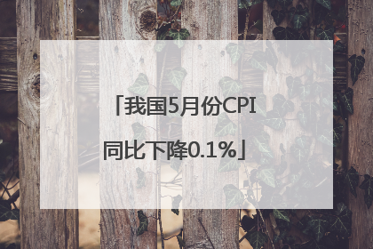 我国5月份CPI同比下降0.1%