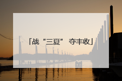 战“三夏” 夺丰收