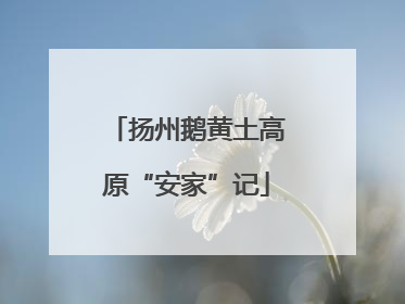 扬州鹅黄土高原“安家”记