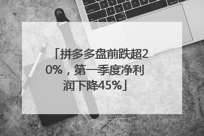 拼多多盘前跌超20%，第一季度净利润下降45%