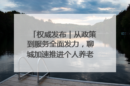 权威发布｜从政策到服务全面发力，聊城加速推进个人养老金制度落地