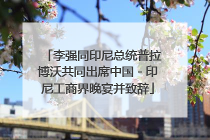 李强同印尼总统普拉博沃共同出席中国－印尼工商界晚宴并致辞