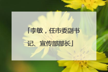 李敏，任市委副书记、宣传部部长