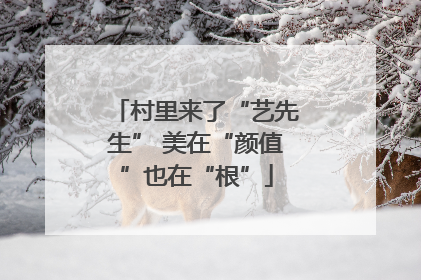 村里来了“艺先生” 美在“颜值”也在“根”