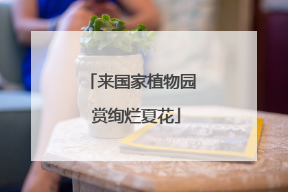 来国家植物园 赏绚烂夏花