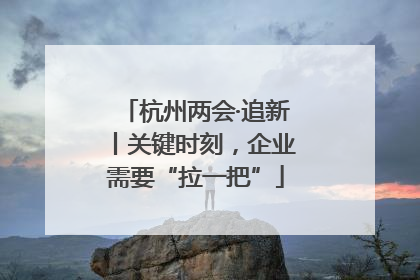 杭州两会·追新丨关键时刻，企业需要“拉一把”