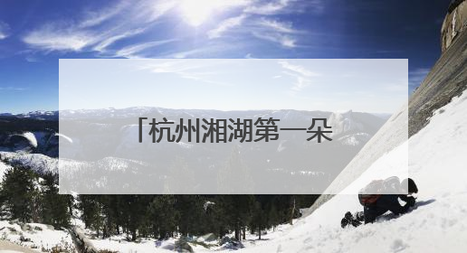 杭州湘湖第一朵荷花开了！西湖的还要再等等