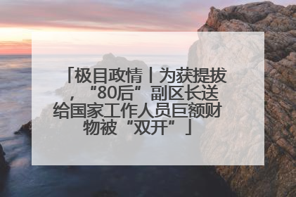 极目政情丨为获提拔，“80后”副区长送给国家工作人员巨额财物被“双开”