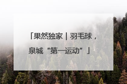 果然独家｜羽毛球，泉城“第一运动”