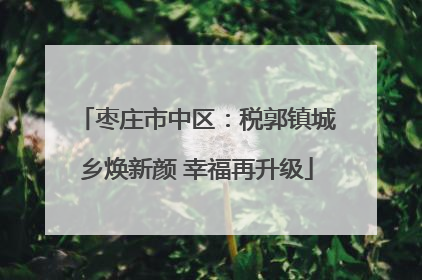 枣庄市中区：税郭镇城乡焕新颜 幸福再升级