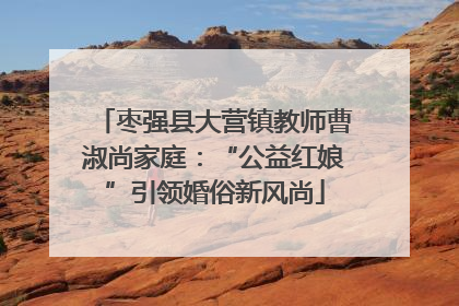 枣强县大营镇教师曹淑尚家庭：“公益红娘”引领婚俗新风尚