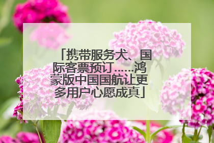 携带服务犬、国际客票预订……鸿蒙版中国国航让更多用户心愿成真