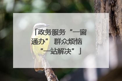 政务服务“一窗通办” 群众烦恼“一站解决”