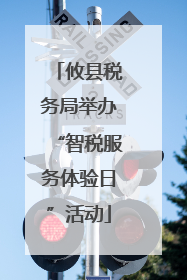 攸县税务局举办“智税服务体验日”活动