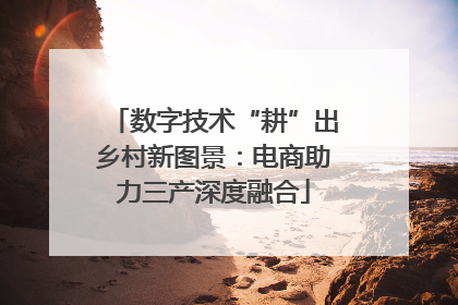 数字技术“耕”出乡村新图景：电商助力三产深度融合