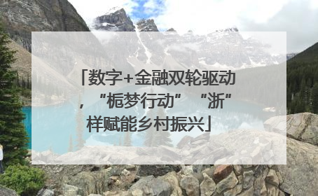 数字+金融双轮驱动，“栀梦行动”“浙”样赋能乡村振兴