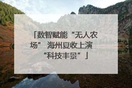 数智赋能“无人农场” 海州夏收上演“科技丰景”
