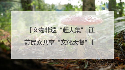 文物非遗“赶大集” 江苏民众共享“文化大餐”