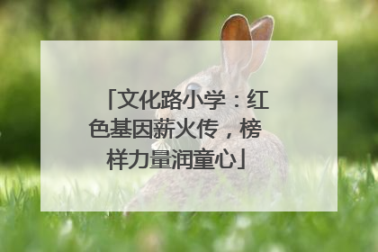 文化路小学：红色基因薪火传，榜样力量润童心