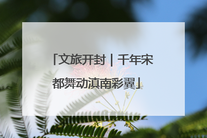 文旅开封｜千年宋都舞动滇南彩翼