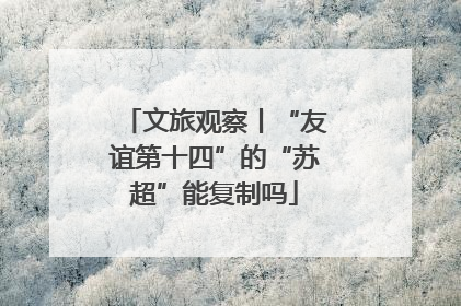 文旅观察丨“友谊第十四”的“苏超”能复制吗