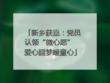 新乡获嘉：党员认领“微心愿” 爱心圆梦暖童心