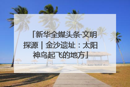 新华全媒头条·文明探源｜金沙遗址：太阳神鸟起飞的地方
