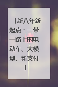 新八年新起点：一带一路上的电动车、大模型、新支付