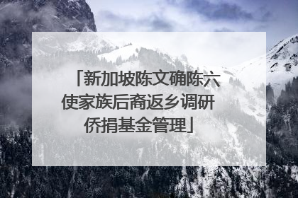 新加坡陈文确陈六使家族后裔返乡调研侨捐基金管理