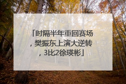时隔半年重回赛场，樊振东上演大逆转，3比2徐瑛彬