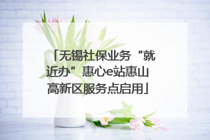 无锡社保业务“就近办”惠心e站惠山高新区服务点启用