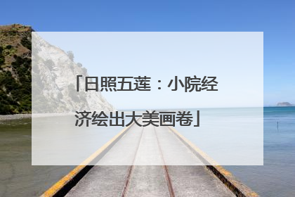 日照五莲：小院经济绘出大美画卷