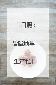 日照：盐碱地里生产忙