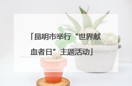昆明市举行“世界献血者日”主题活动