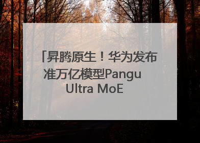 昇腾原生！华为发布准万亿模型Pangu Ultra MoE模型架构和训练细节