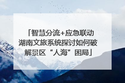 智慧分流+应急联动 湖南文旅系统探讨如何破解景区“人海”困局