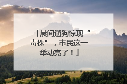 晨间遛狗惊现“毒株”，市民这一举动亮了！